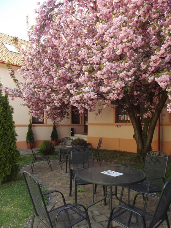 Pannon Hotel Bejelentkezes 20 Oraig, Check-In Until 20 O'Clock, Einchecken Bis 20 Uhr Mohacs Luaran gambar